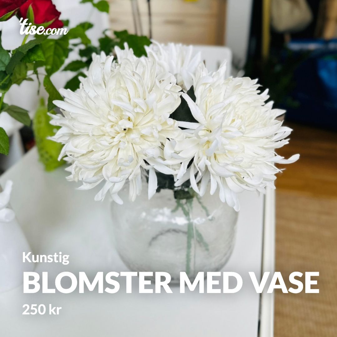 Blomster med vase