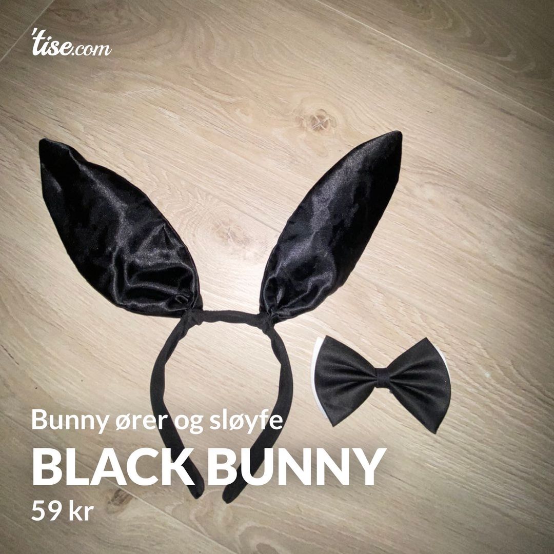 Black Bunny