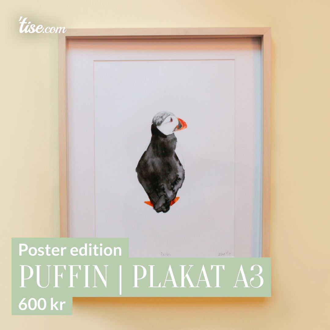 Puffin | Plakat A3