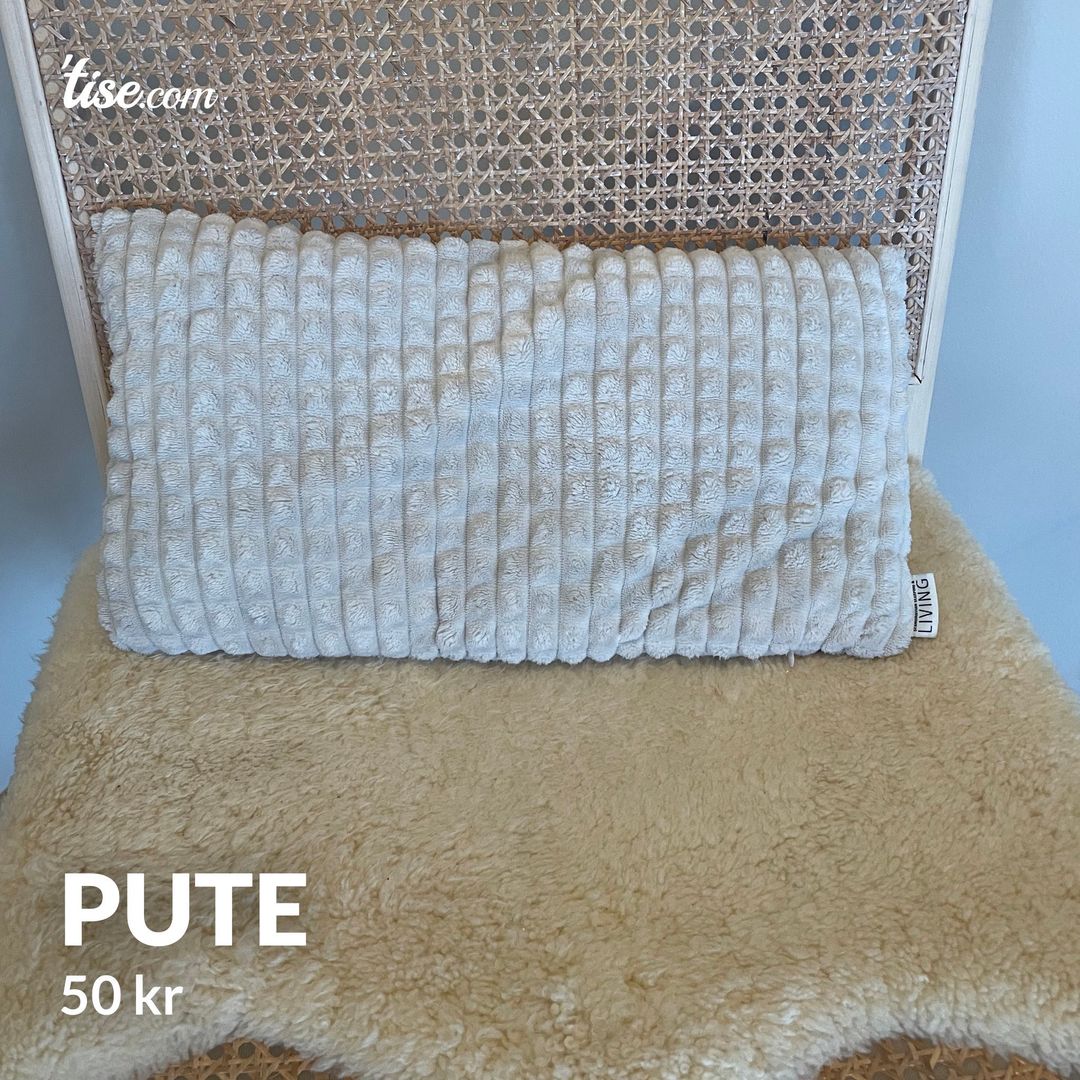 Pute