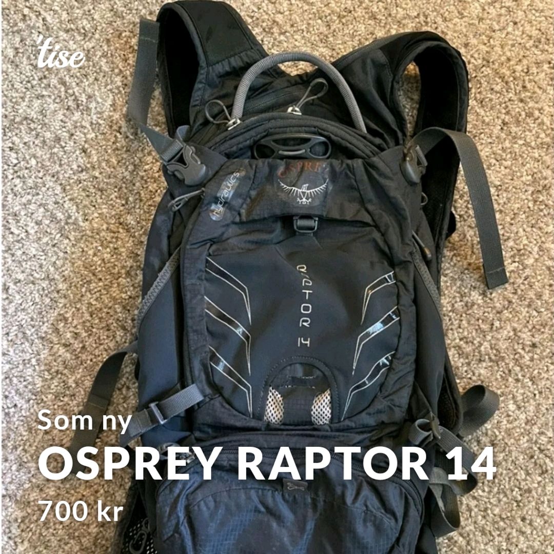 Osprey Raptor 14