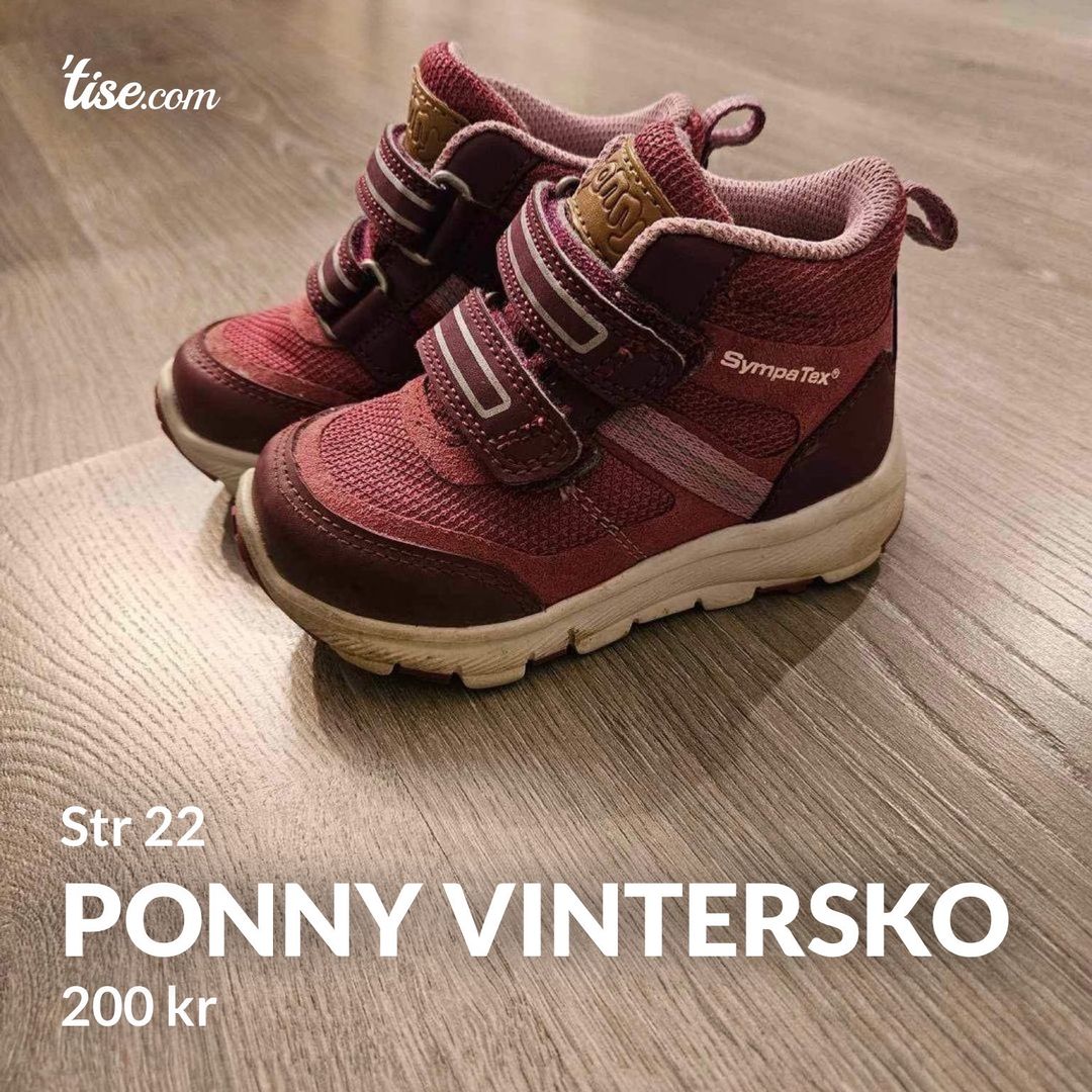 Ponny vintersko