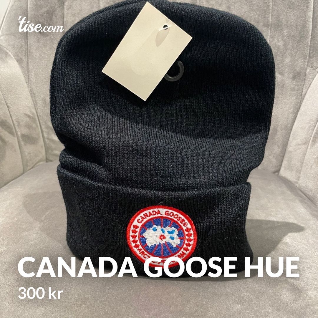 Canada goose hue