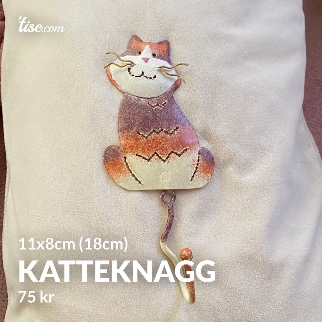 Katteknagg