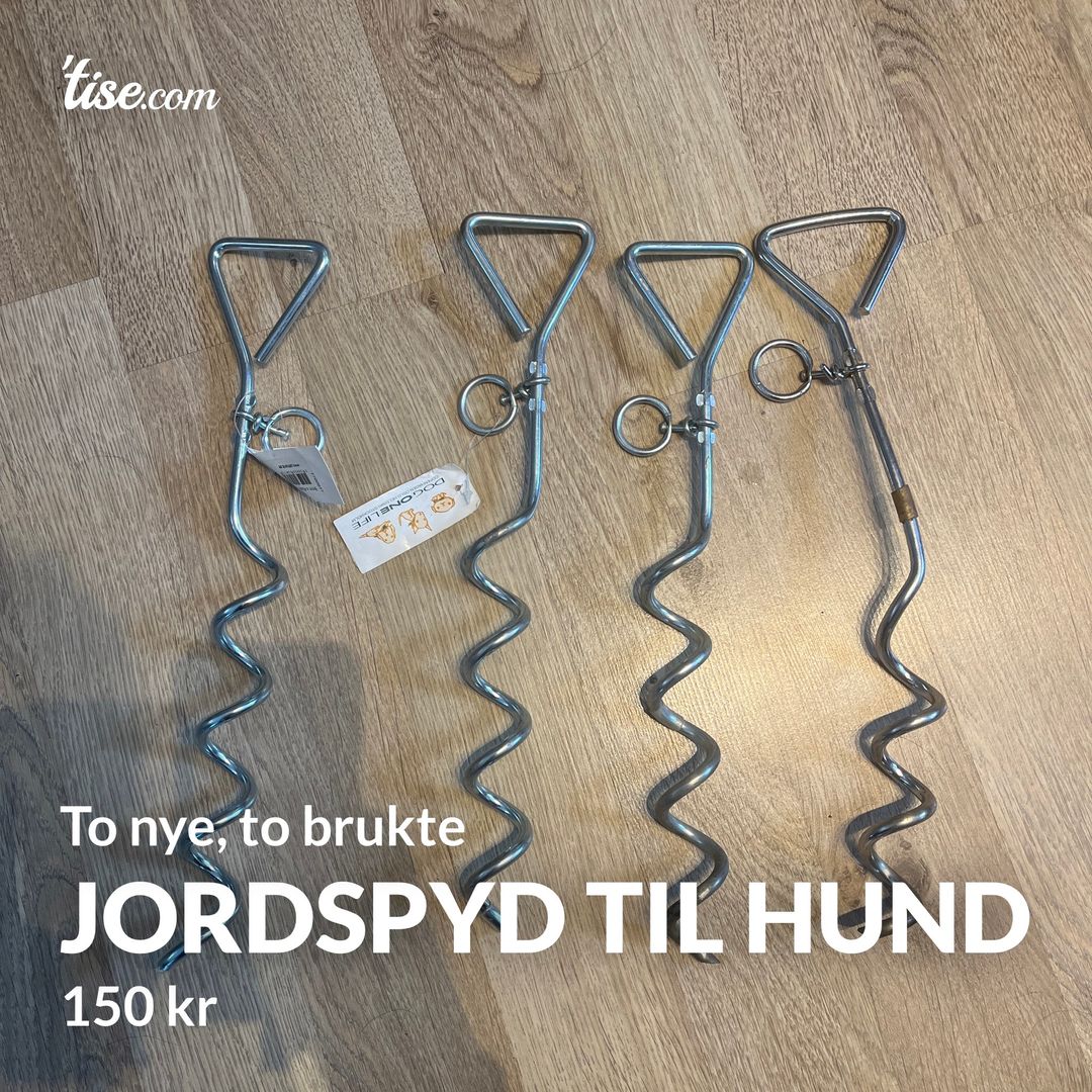 Jordspyd til hund