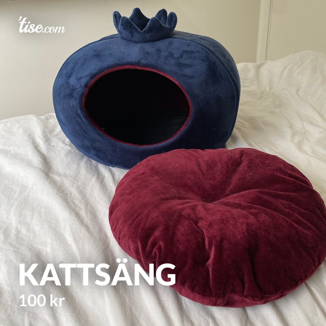 Kattsäng