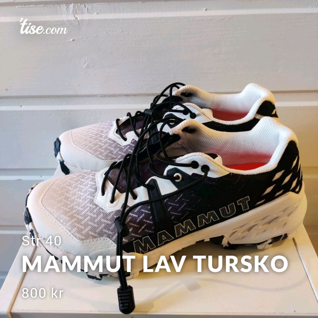 Mammut Lav Tursko