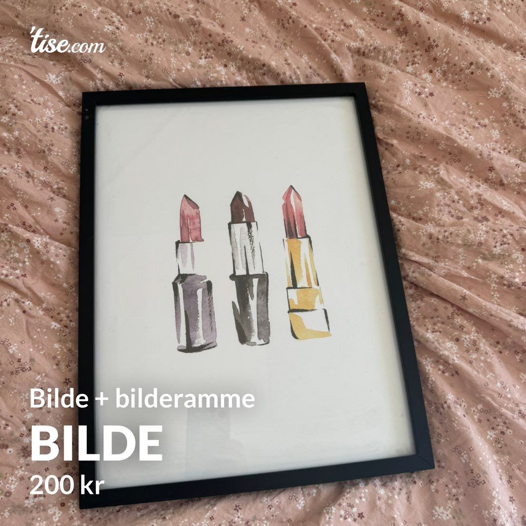 Bilde