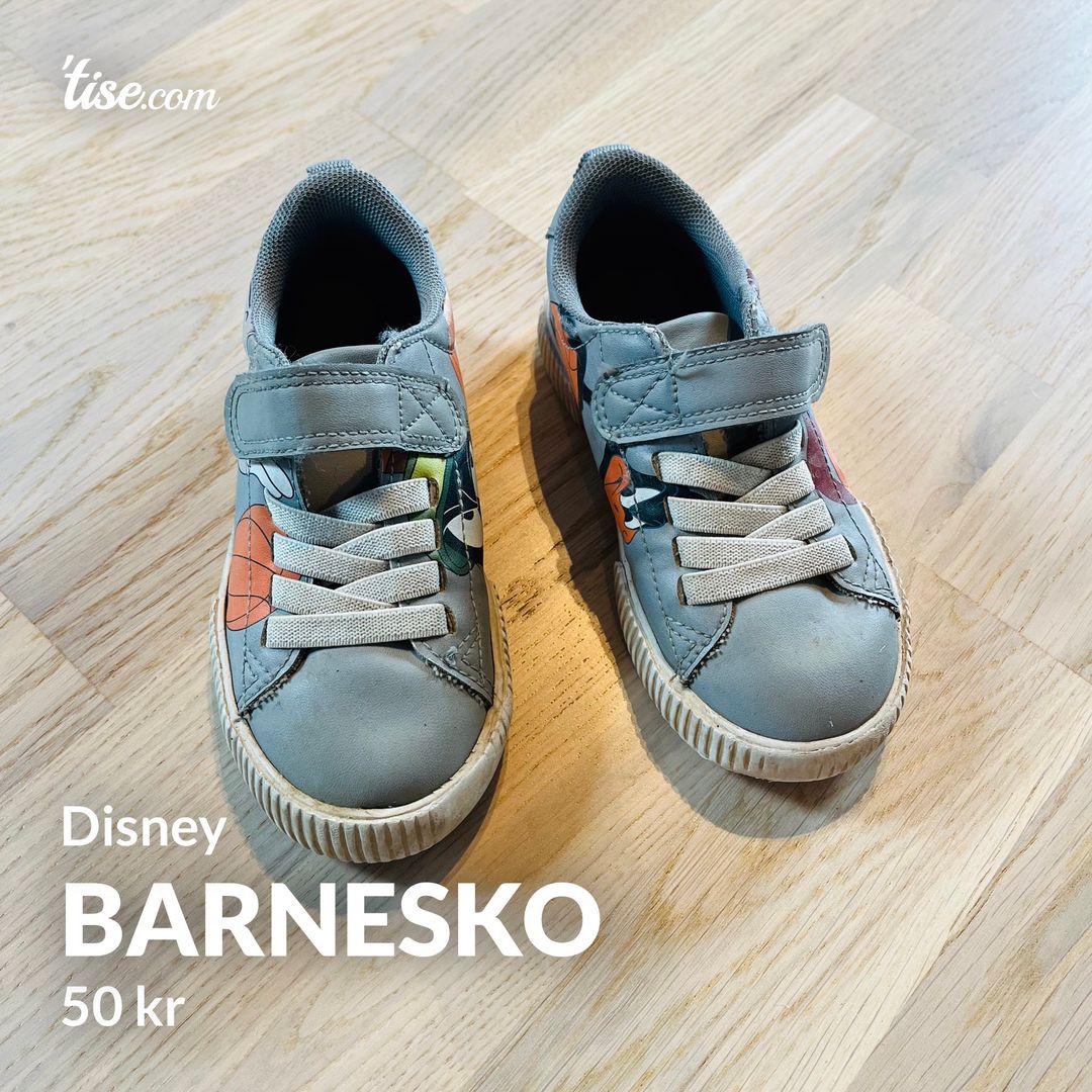 Barnesko