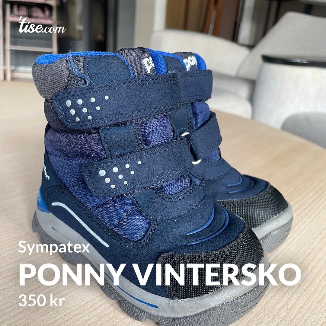 Ponny vintersko