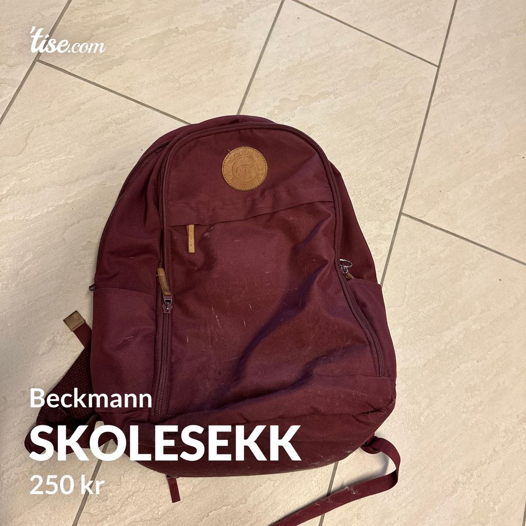 Skolesekk