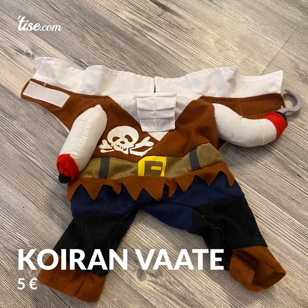 Koiran vaate