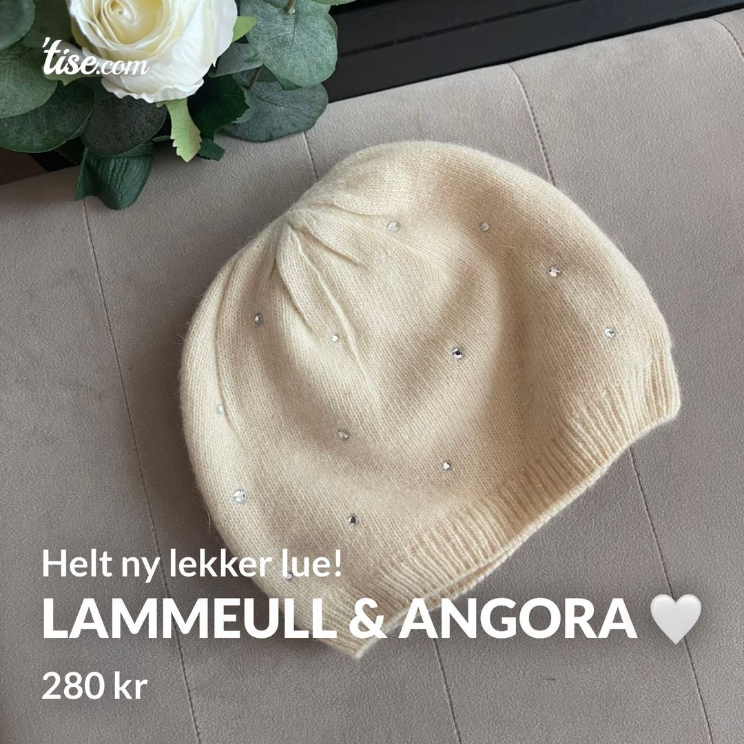 Lammeull  Angora 🤍