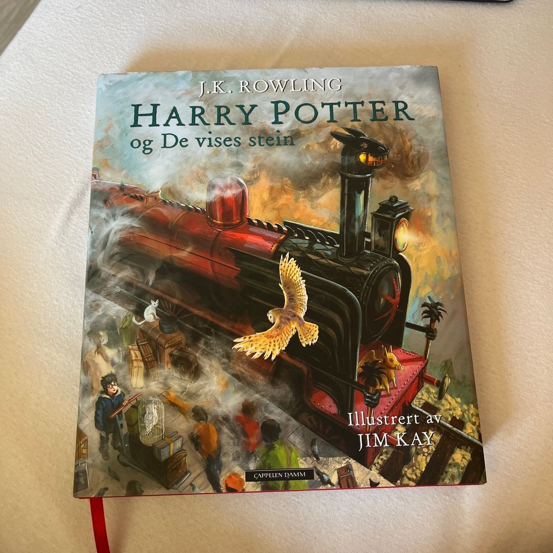 Harry potter bok