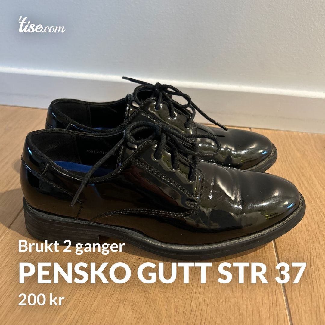 Pensko gutt str 37