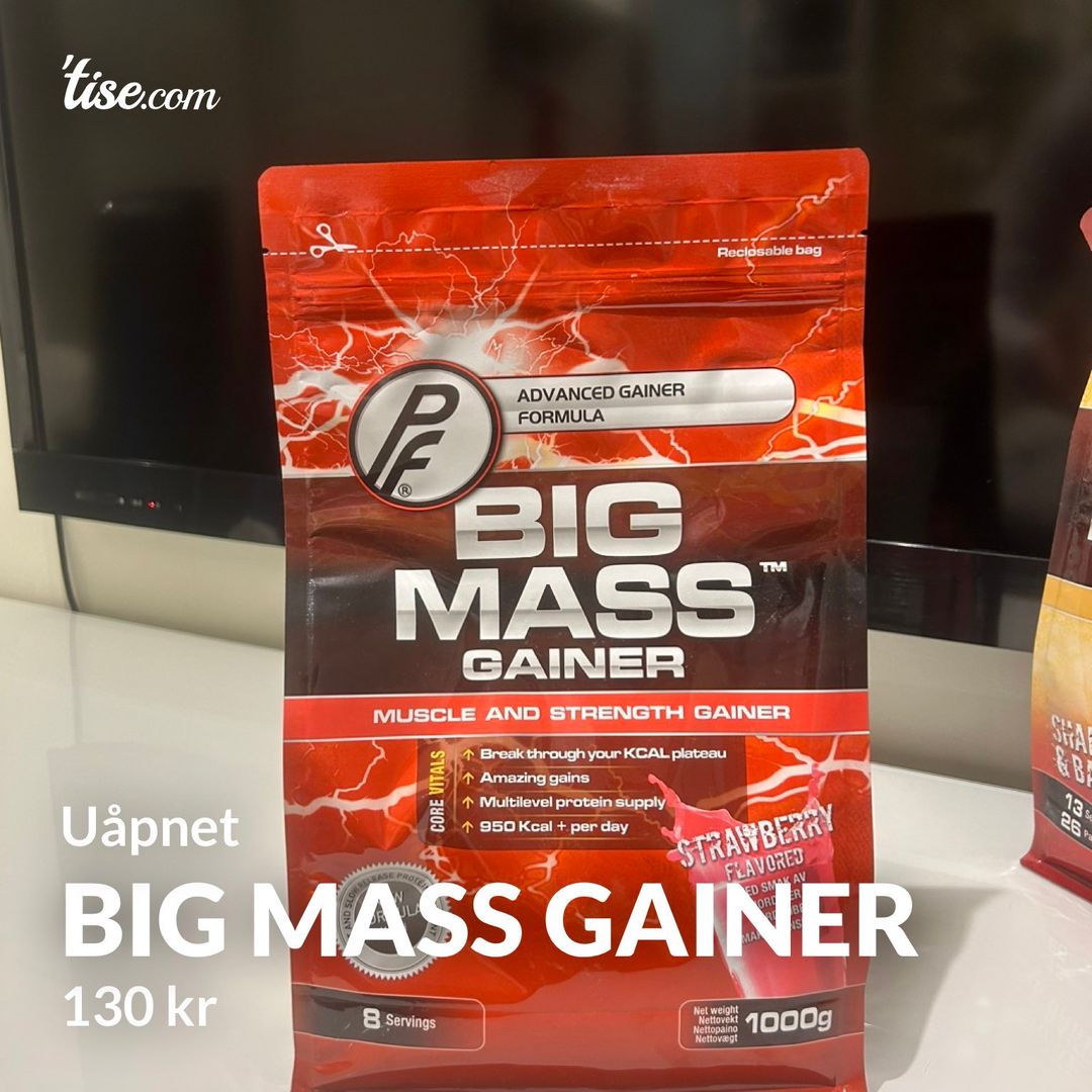 Big mass gainer