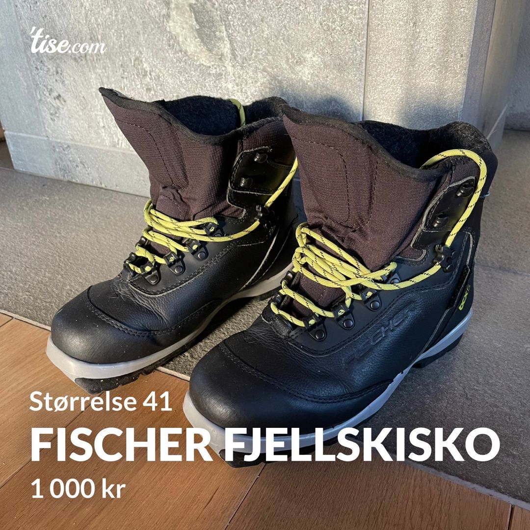 Fischer fjellskisko