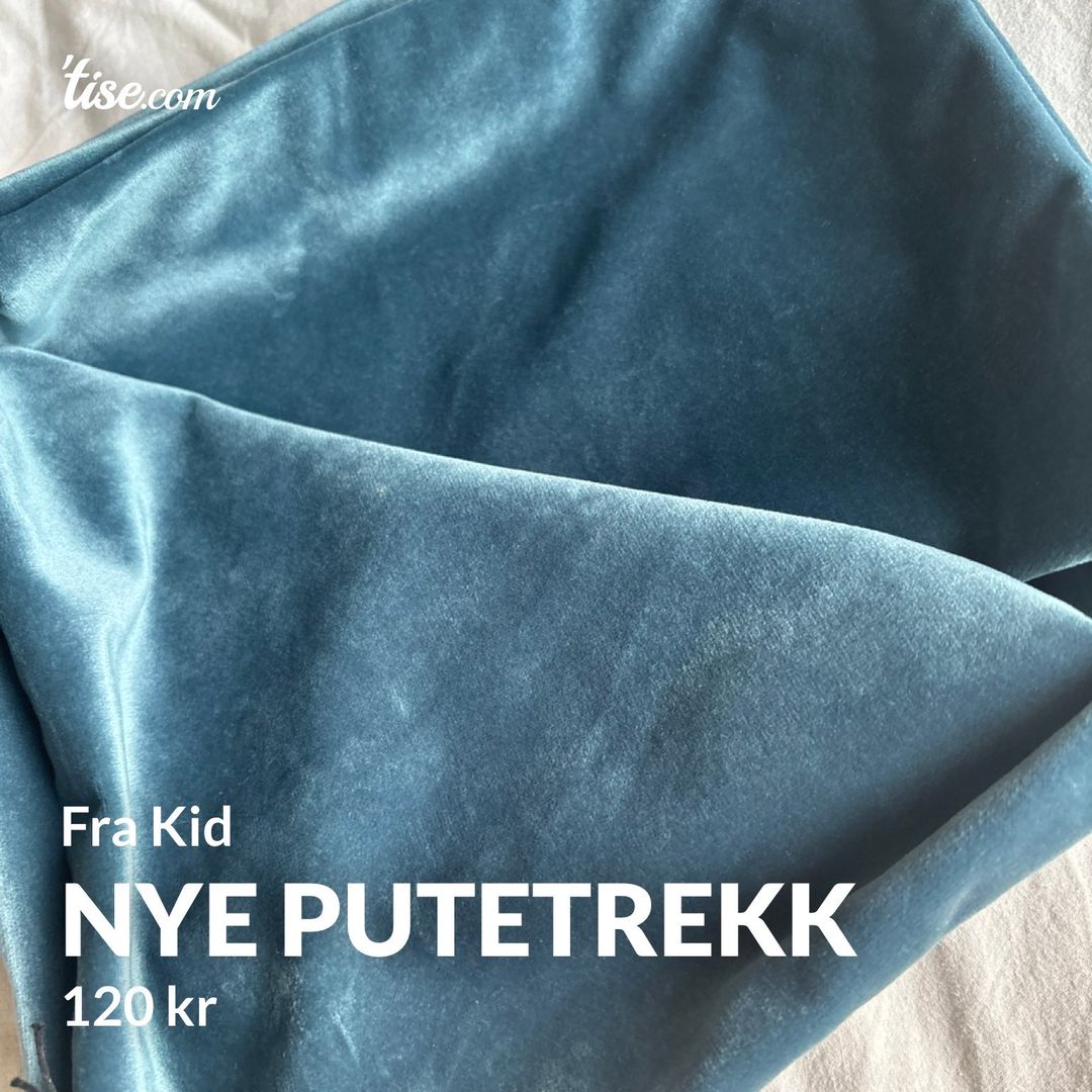 Nye putetrekk