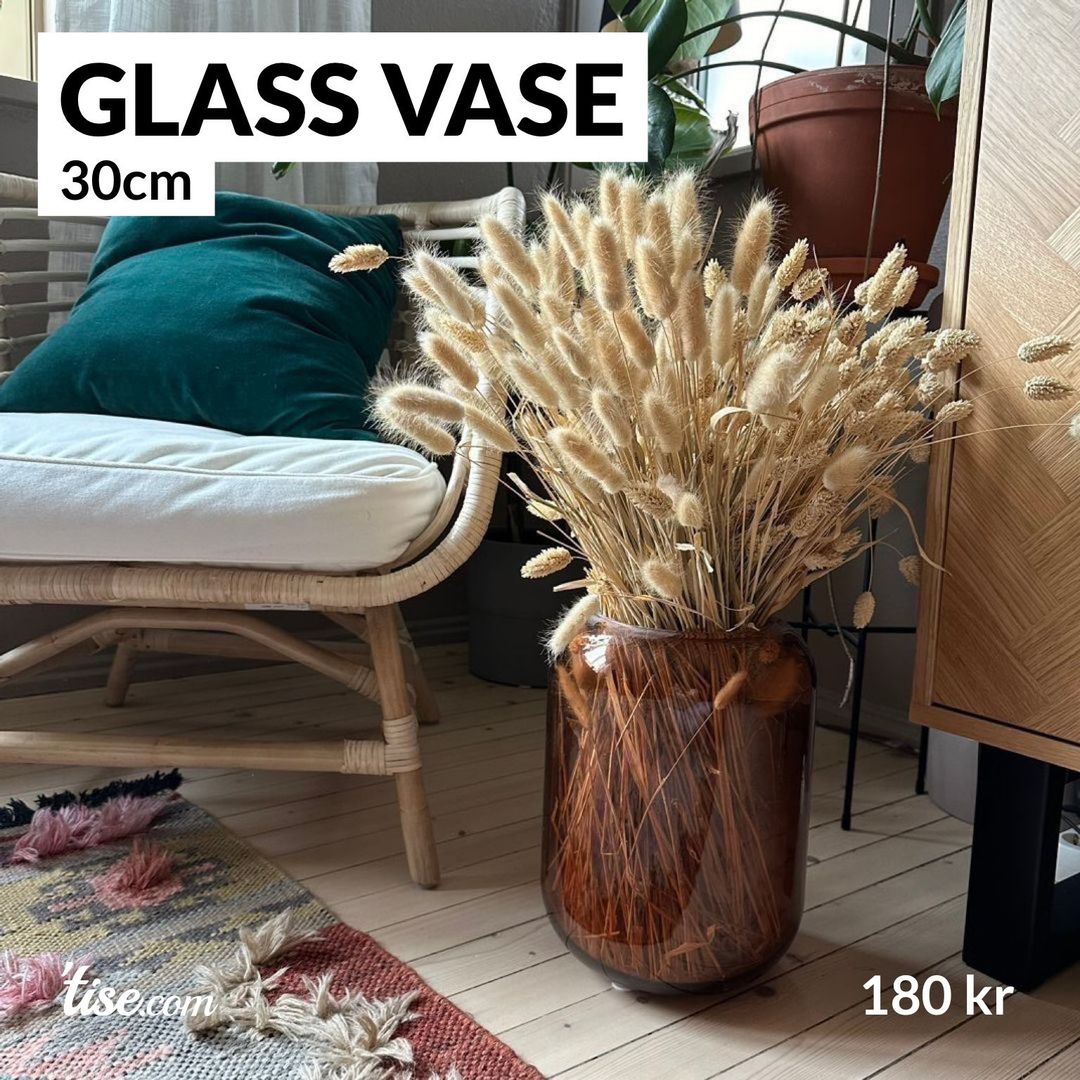 Glass vase