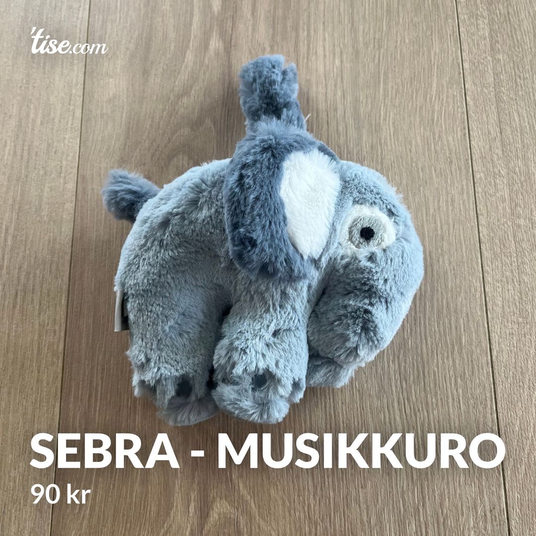 Sebra - Musikkuro