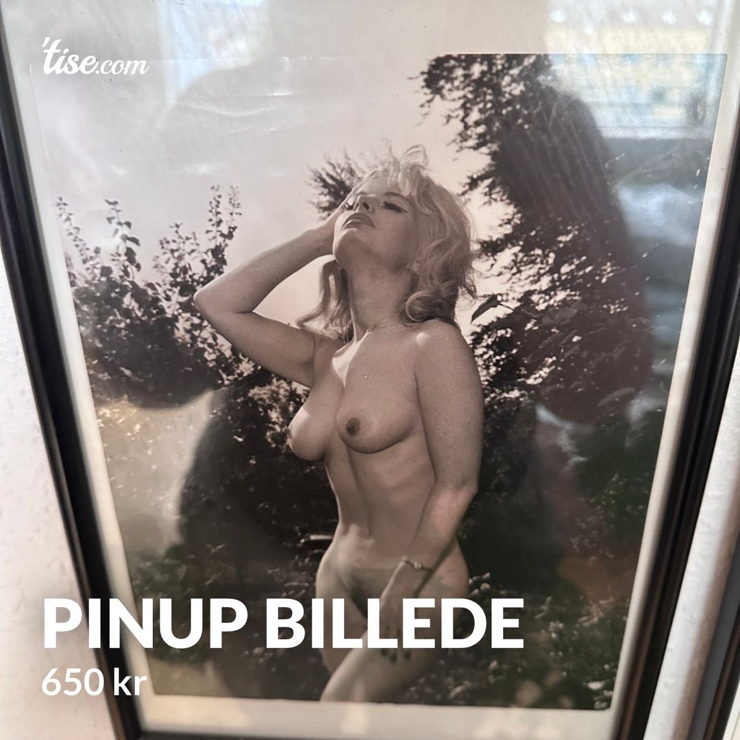 Pinup billede