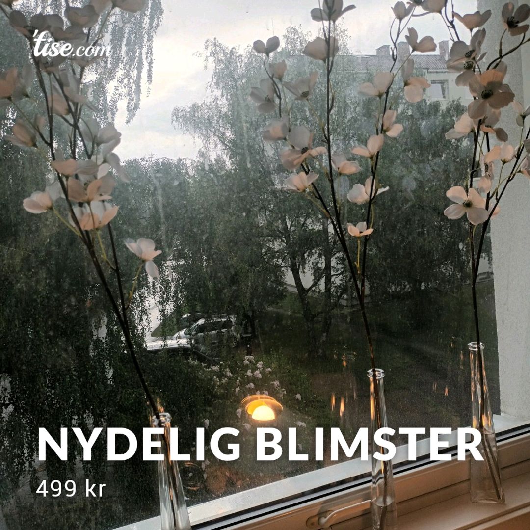 Nydelig Blimster