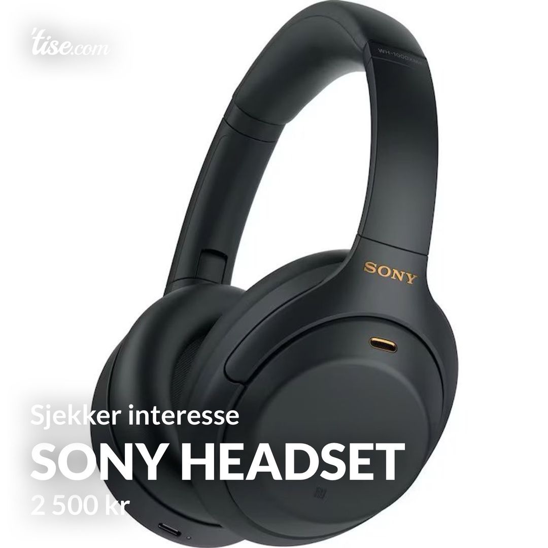 Sony headset