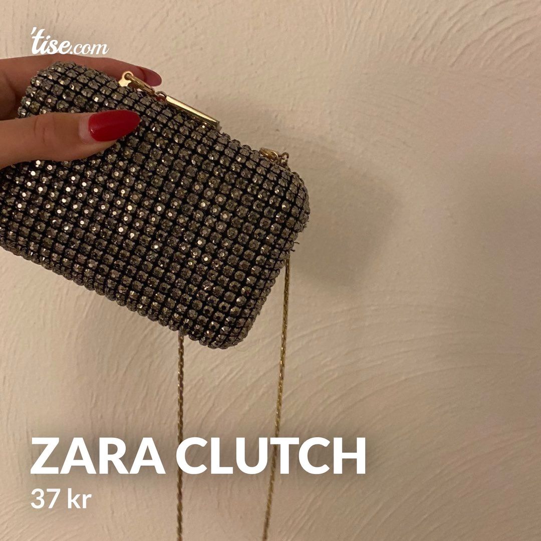 Zara Clutch