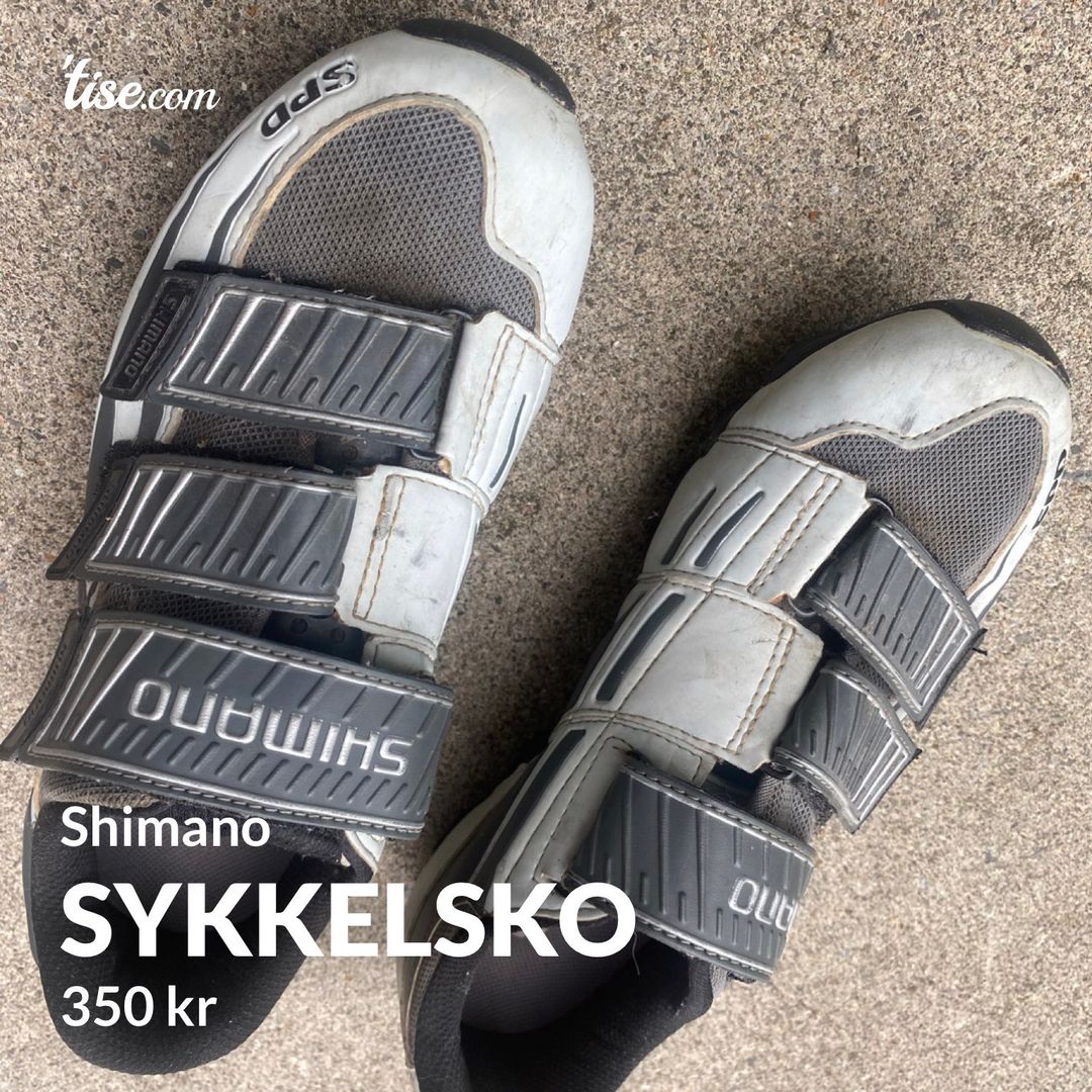 Sykkelsko