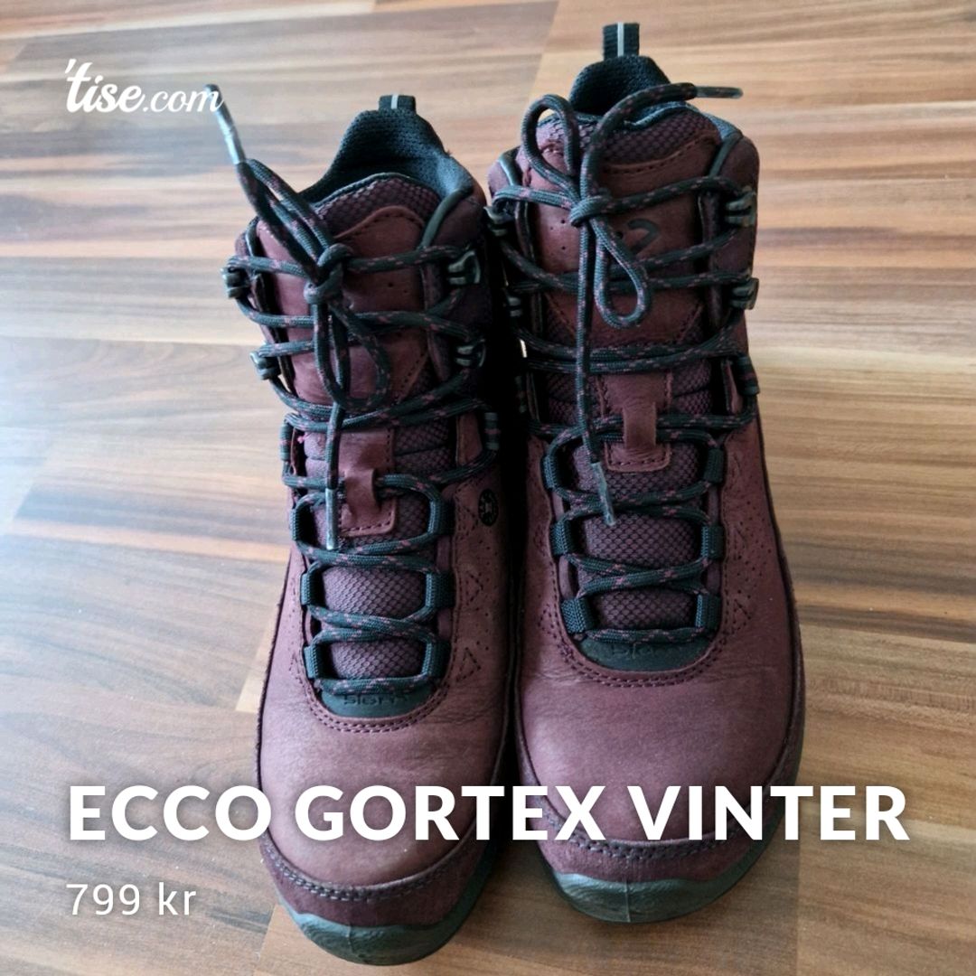 Ecco Gortex Vinter