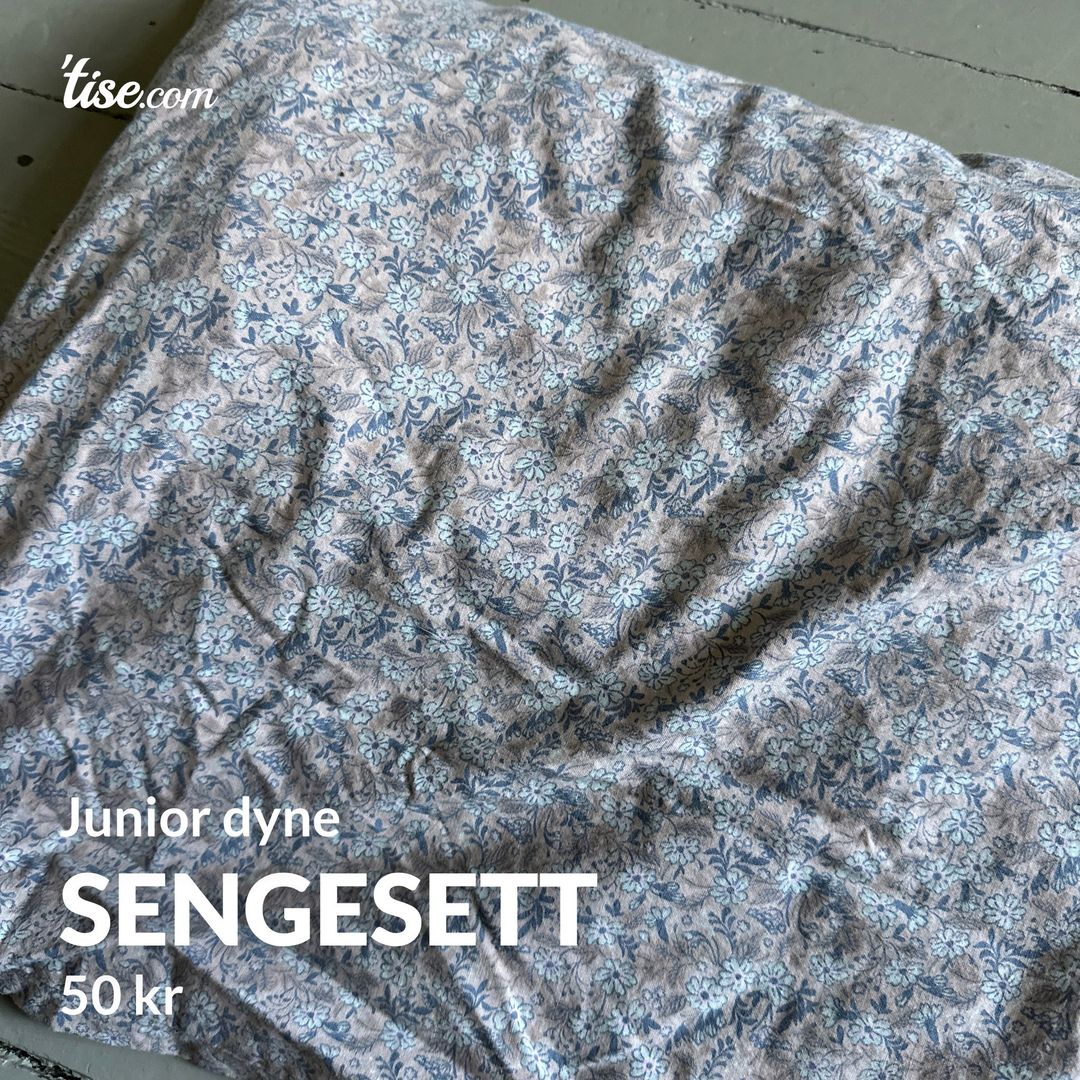 Sengesett