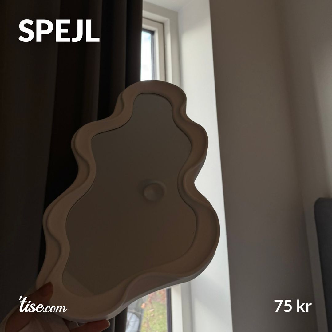 Spejl