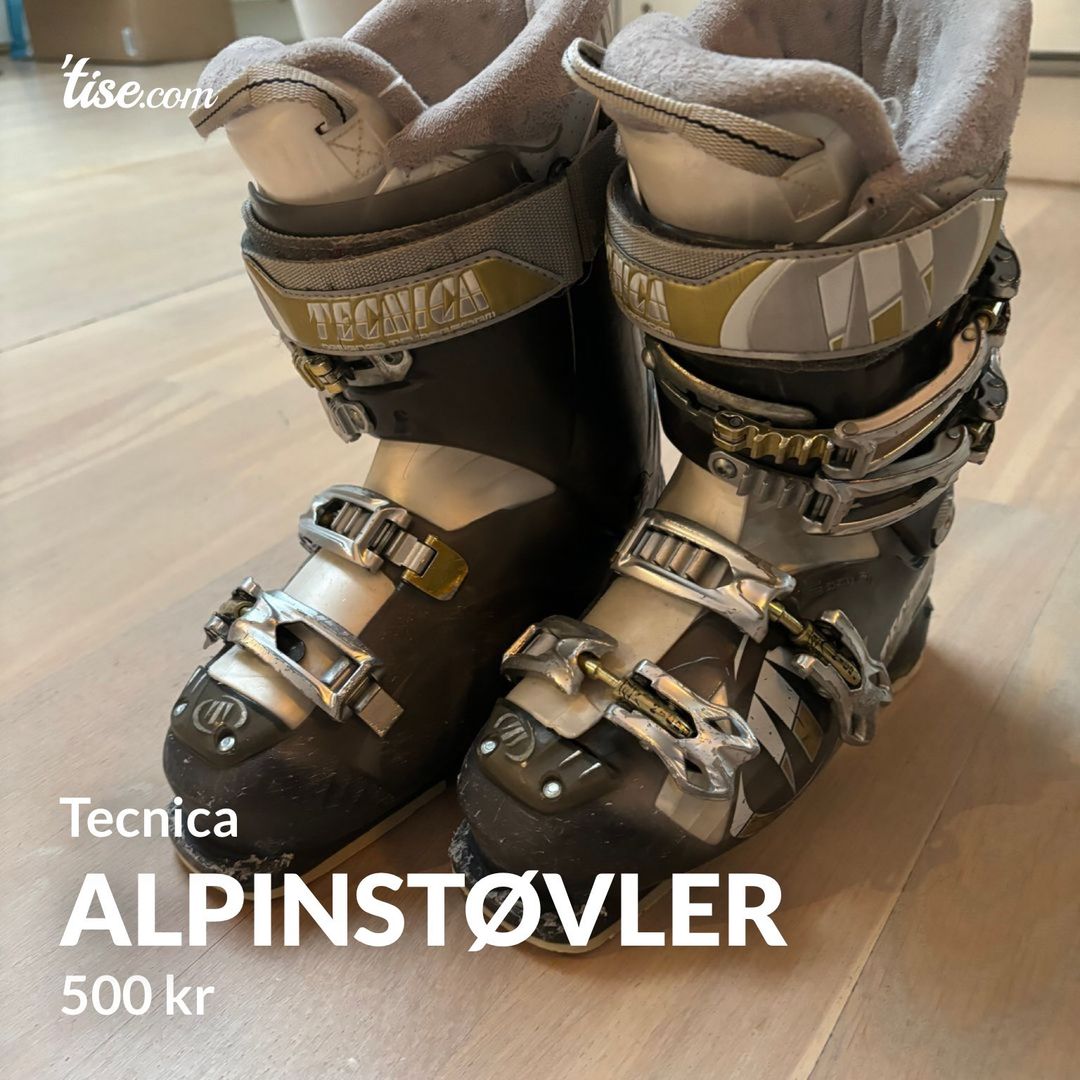 Alpinstøvler