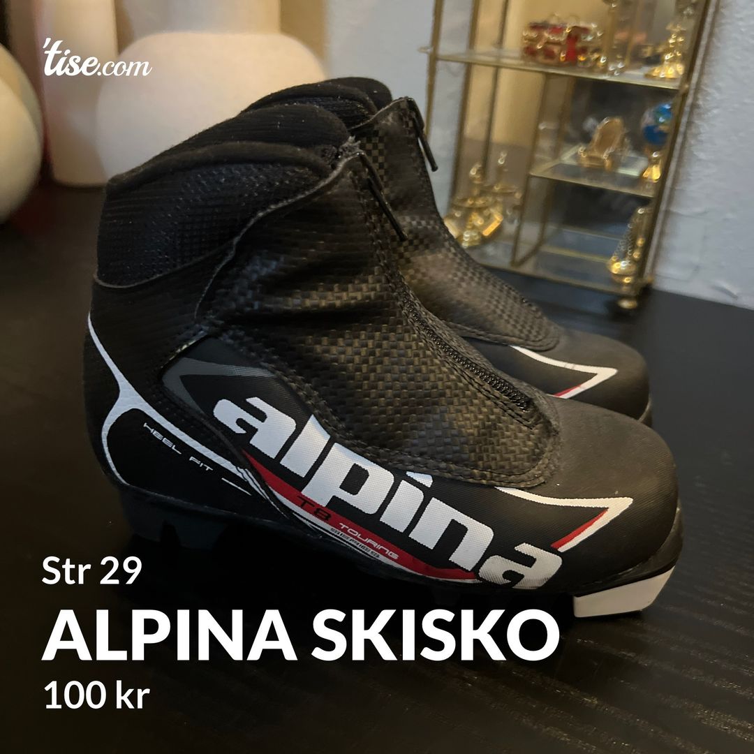 Alpina skisko