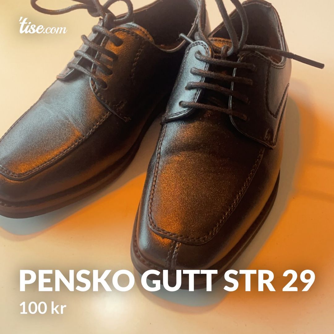 Pensko gutt str 29