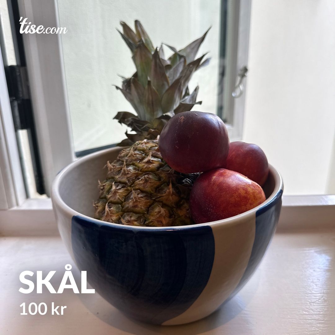 Skål