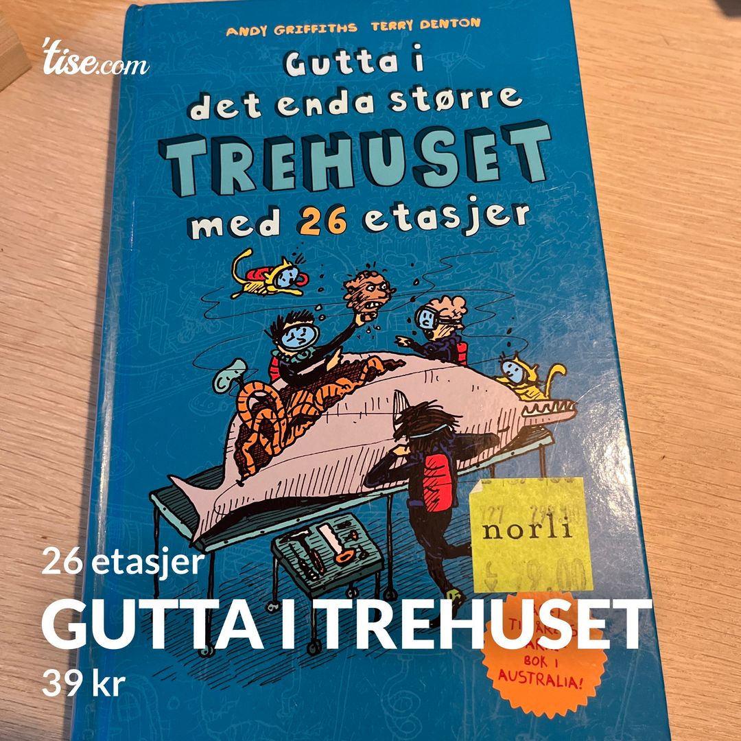 Gutta i trehuset