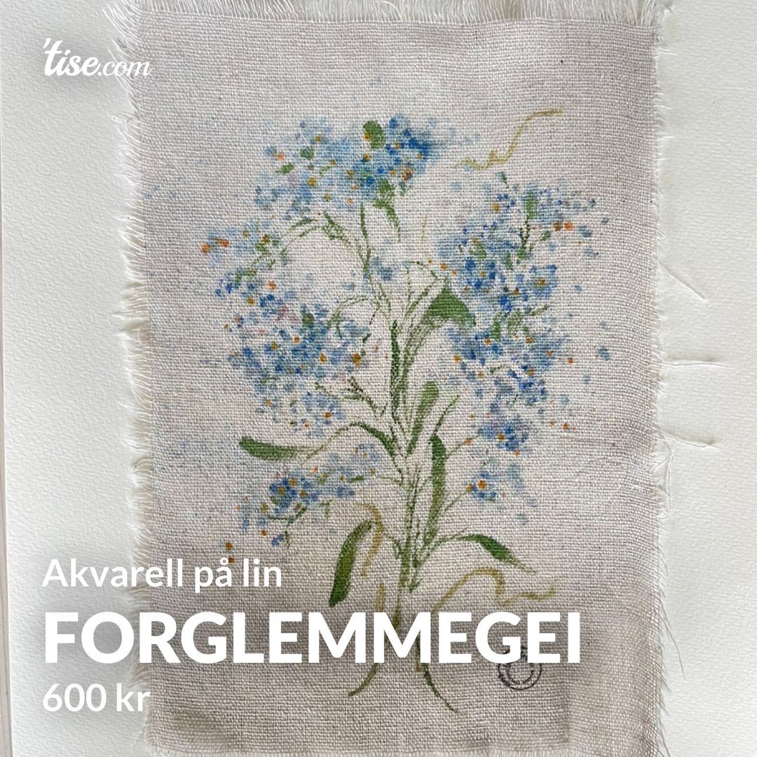 Forglemmegei