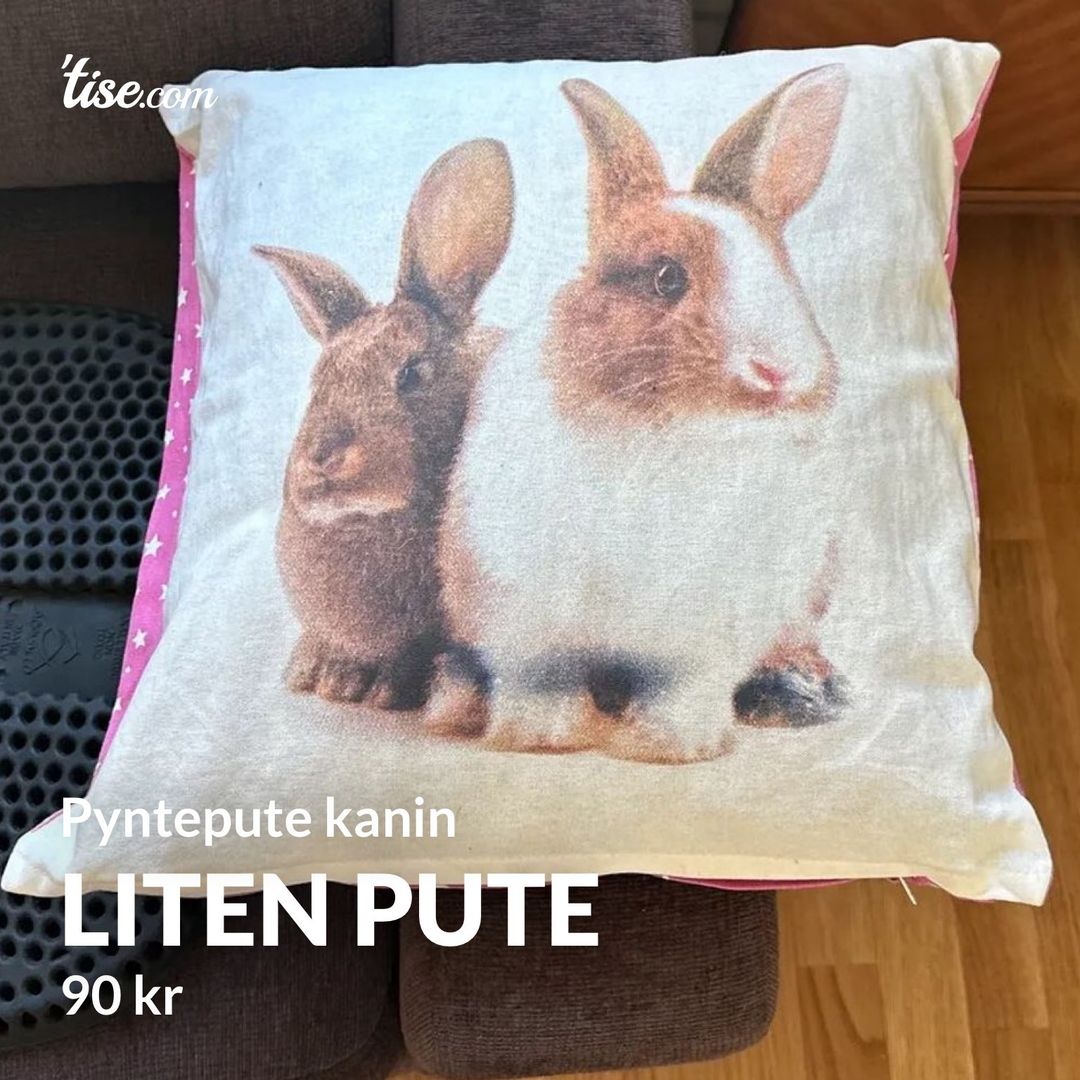 Liten pute