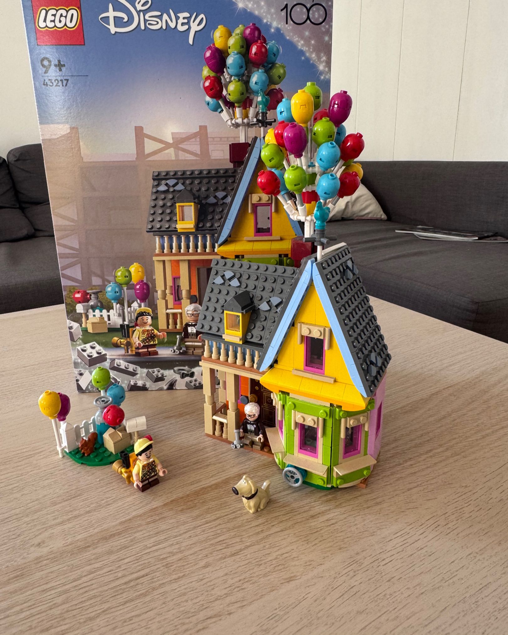 Lego Disney up house