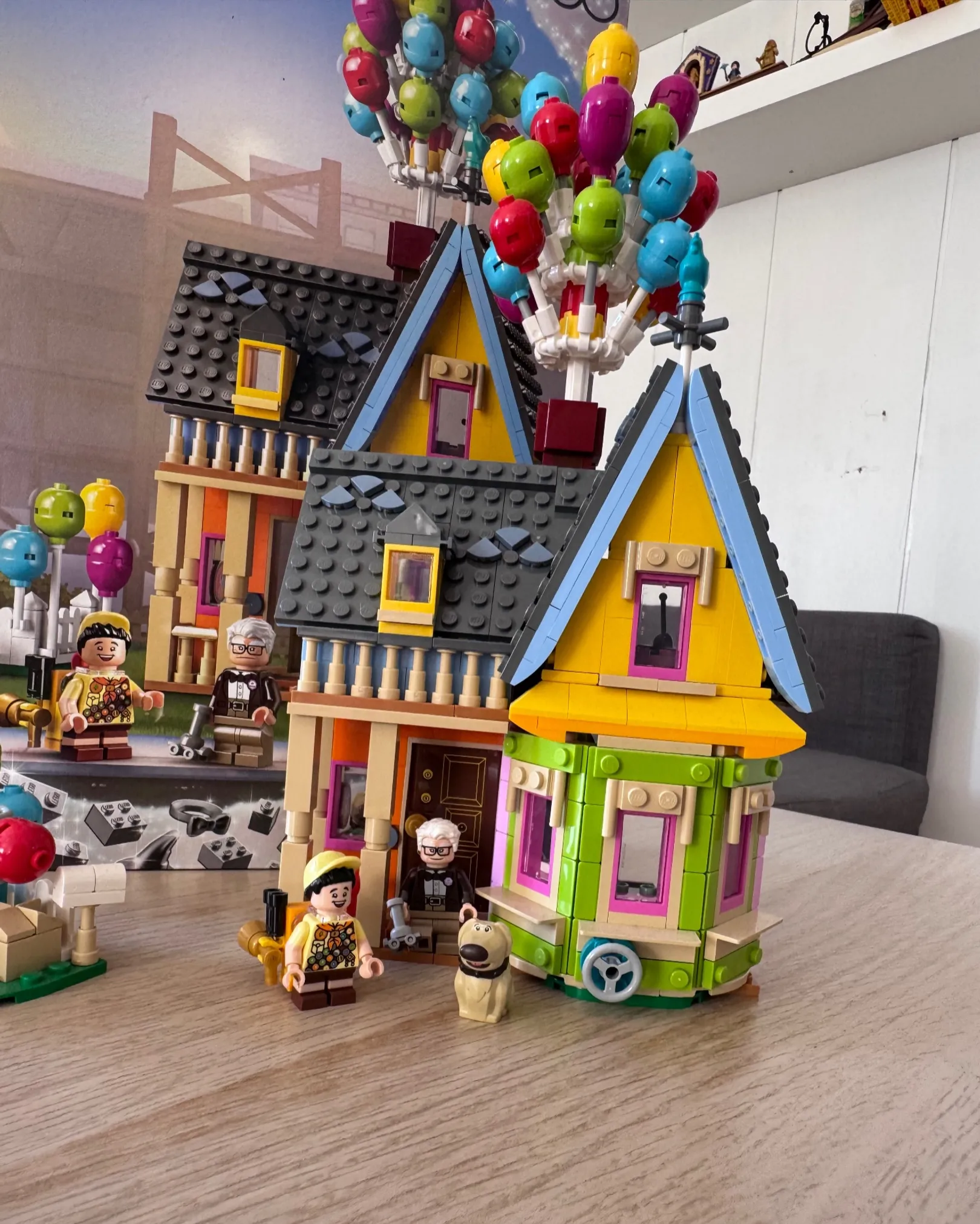 Lego Disney up house