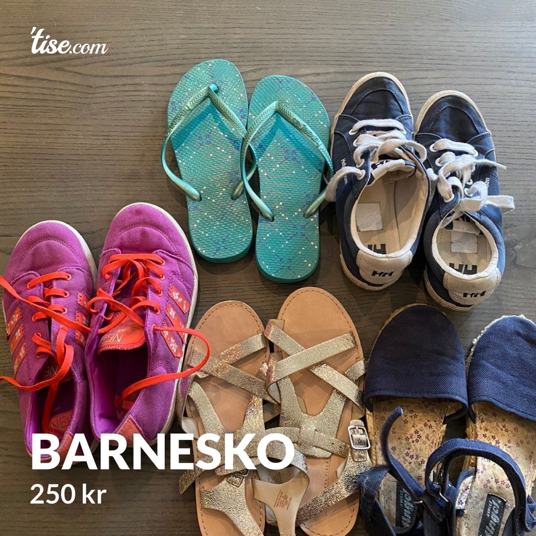 Barnesko