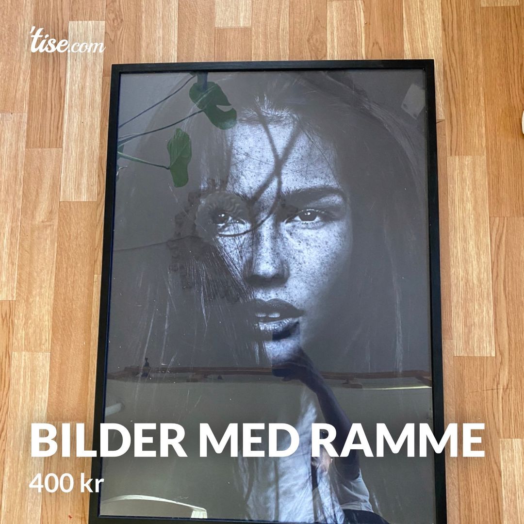 Bilder med ramme