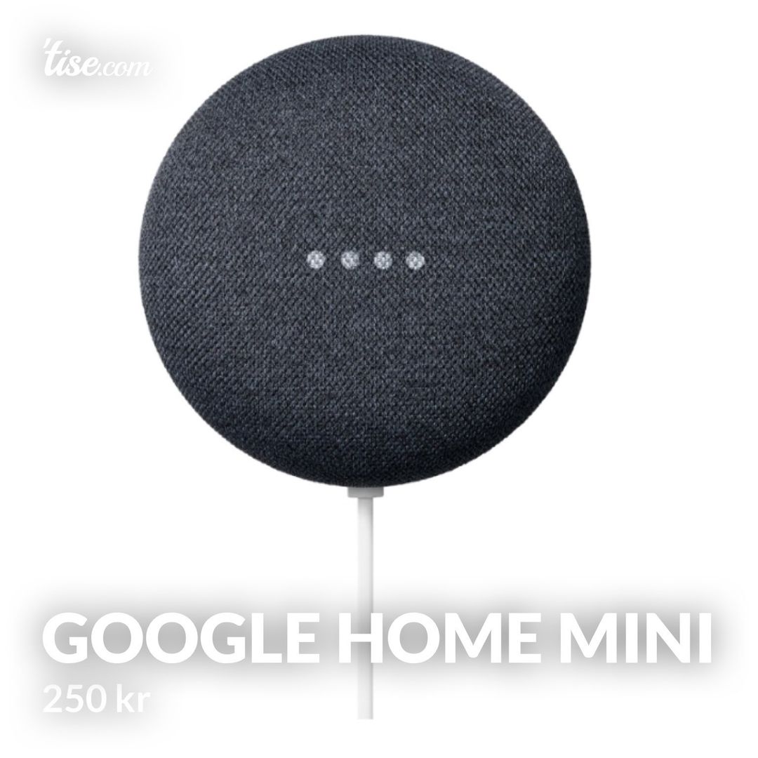 Google Home mini