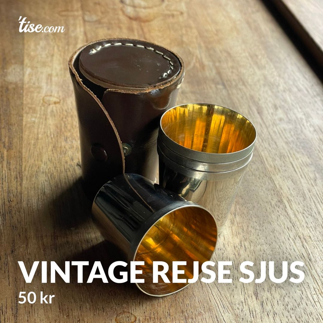 Vintage rejse sjus