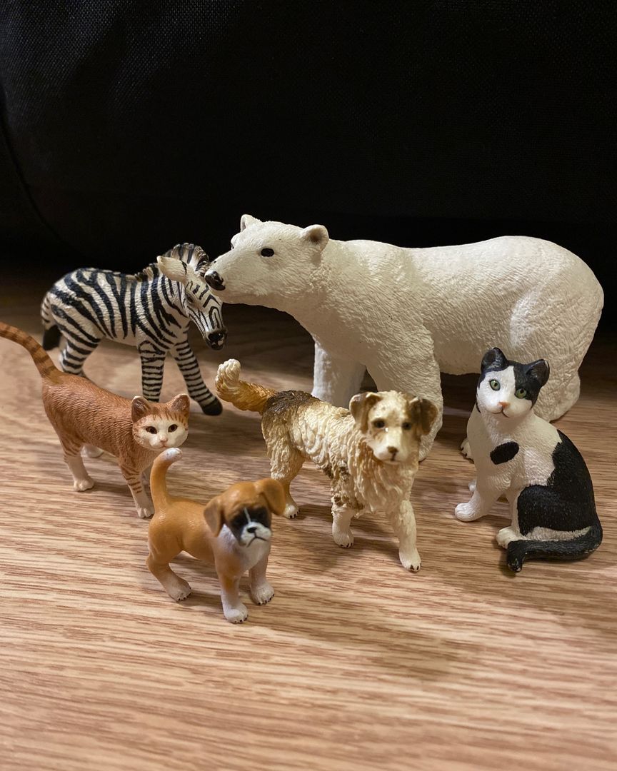 Schleich setti