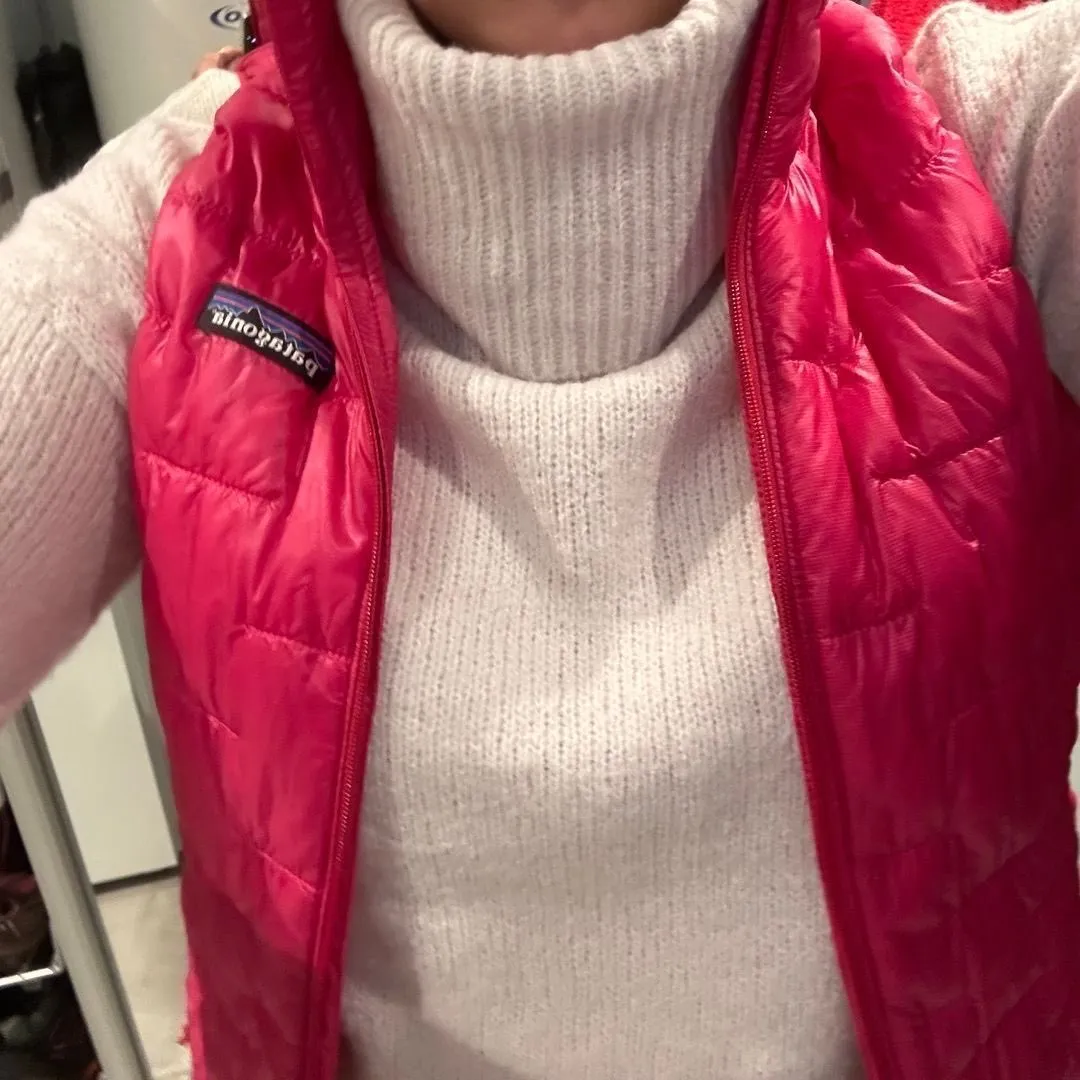 Patagonia vest