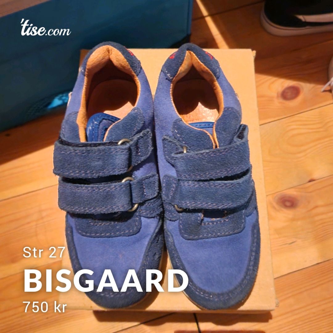 BISGAARD