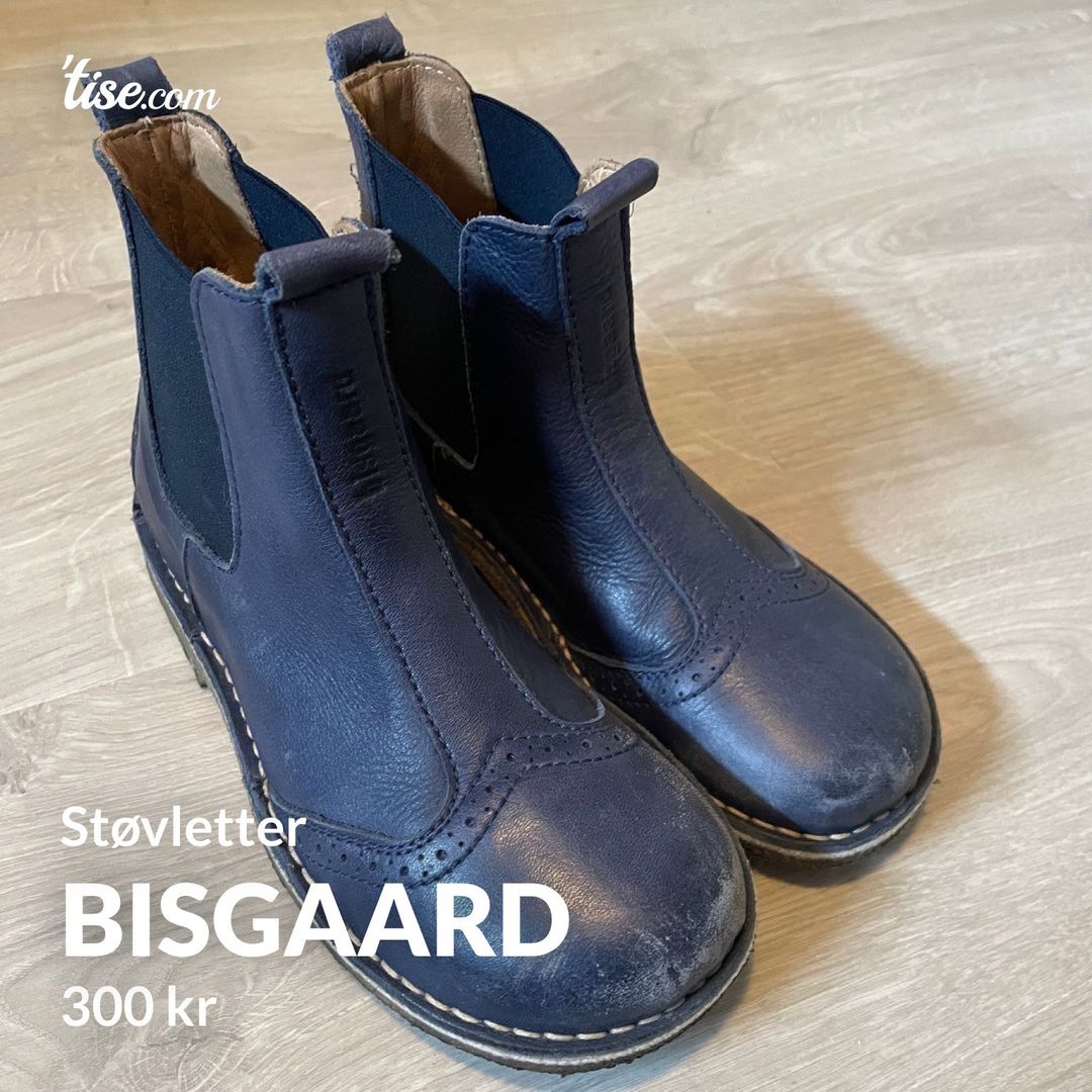 Bisgaard