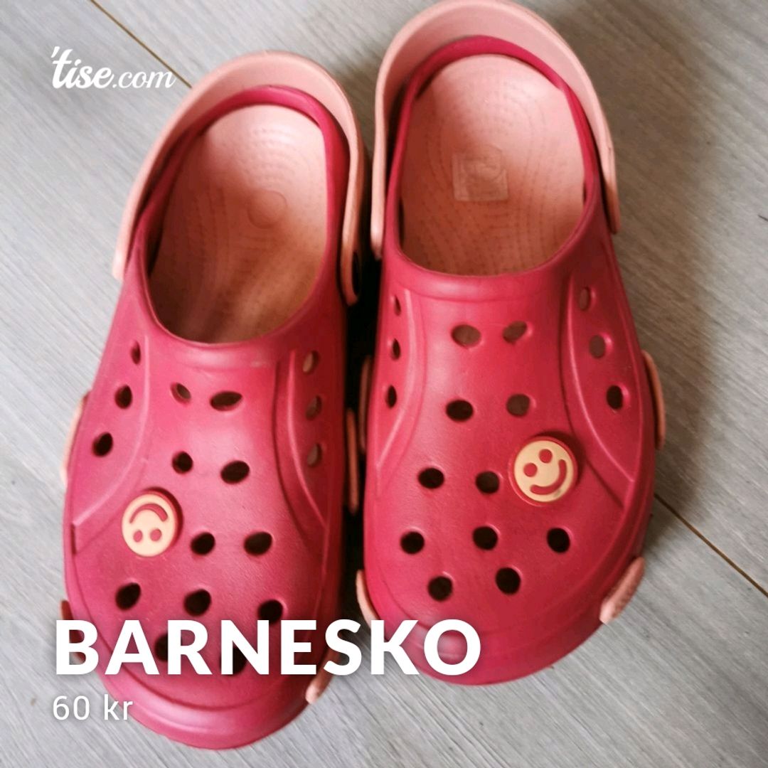 Barnesko